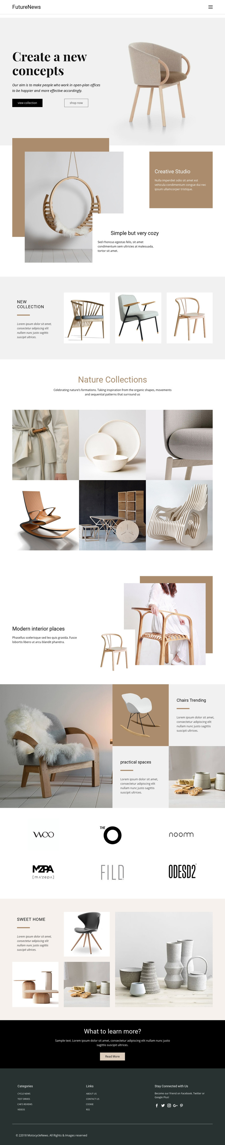 Modern living interior Homepage Design