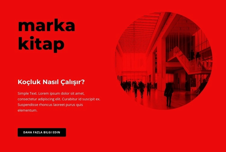 Marka kitabı oluşturuyoruz Web sitesi tasarımı