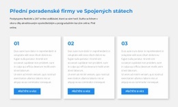 Tři Bloky Textu – Šablona Prémiového Webu Pro Firmy