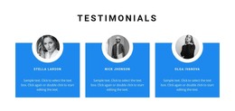 Opinion about projects - CSS Template by Nicepage