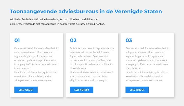 Drie blokken tekst Website sjabloon