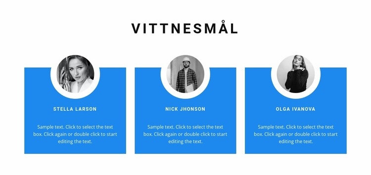 Åsikter om projekt HTML-mall