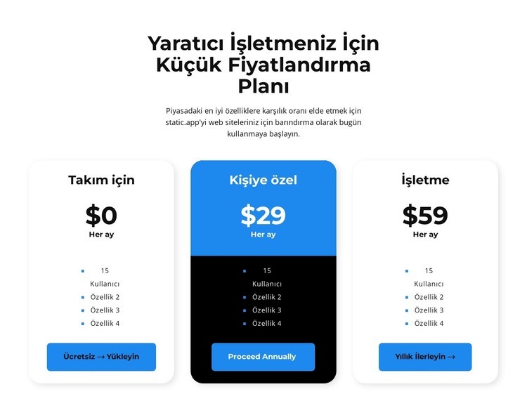 Kişisel ücretinizi seçin Web sitesi tasarımı