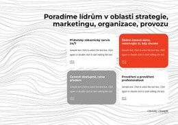 Bezplatná Šablona Návrhu Pro Manažerské Poradenství