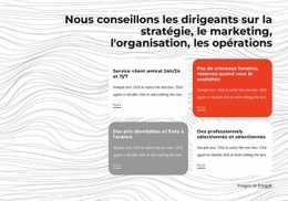 Conseil En Gestion - Maquette De Site Web Gratuite