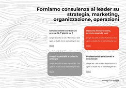 Consulenza Gestionale - Modello Gratuito