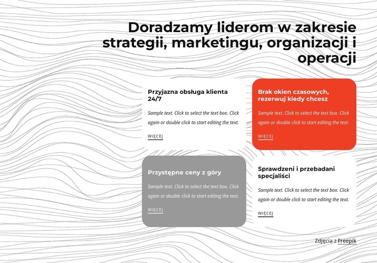 Doradztwo w zakresie zarządzania Szablon CSS