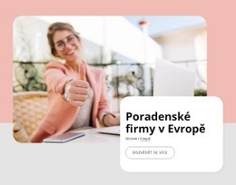 Poradenské Firmy V Evropě – Vstupní Stránka