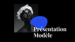 Modèle De Présentation - Superbe Créateur De Site Web