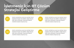 Hızlı Kalite Geliştirme Için Premium Web Sitesi Modeli