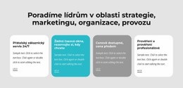 Aktivujeme Vedení – Bezplatná HTML Šablona