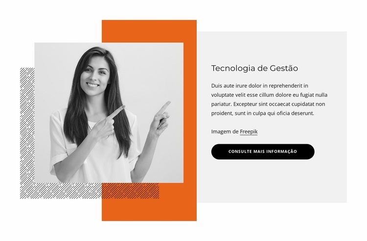 Tecnologia de gestão Design do site