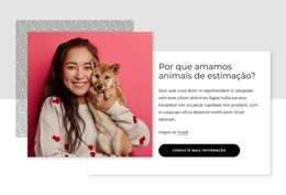 Ter Animais De Estimação É Bom Para A Saúde Física - Tema WordPress Profissional