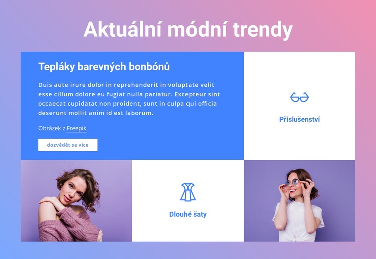 Aktuální módní trendy Šablona CSS