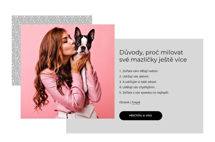 Důvody, proč milovat své mazlíčky ještě více Téma WordPress