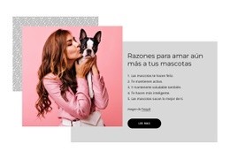 Razones Para Amar Aún Más A Tus Mascotas - Creador De Sitios Web Personalizados