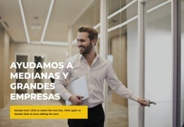 Reacción Rápida - Creador De Sitios Web Sencillo