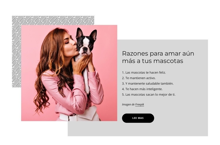 Razones para amar aún más a tus mascotas Diseño de páginas web