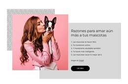 Razones Para Amar Aún Más A Tus Mascotas - Inspiración De Plantilla Joomla