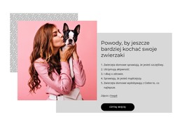 Szablon Projektu Dla Powody, By Jeszcze Bardziej Kochać Swoje Zwierzaki