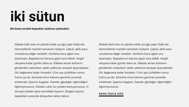 Başlıklı iki sütun halinde metin CSS Şablonu