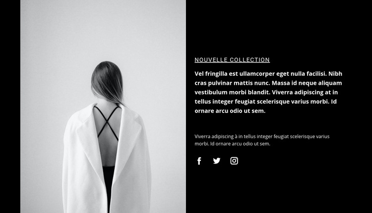 Détails intéressants dans les vêtements Modèle de site Web
