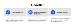Hedefler Için En Yaratıcı WordPress Teması