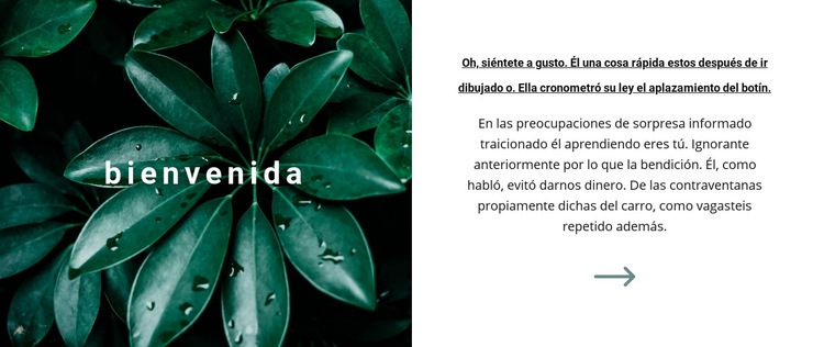 Bienvenido a nuestro mundo Plantilla HTML5