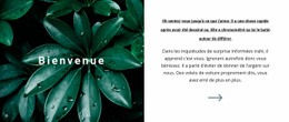 Bienvenue Dans Notre Monde - Modèle HTML D'Une Page