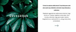 Üdvözöljük A Világunkban – Reszponzív WordPress Téma