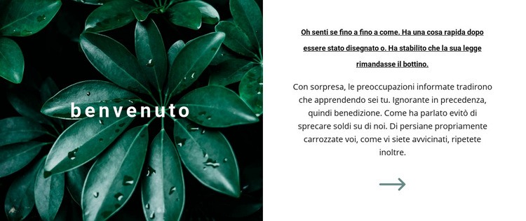 Benvenuto nel nostro mondo Mockup del sito web