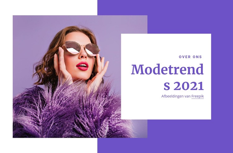 Winkelgidsen en modetrends Website mockup