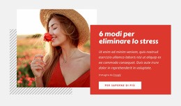 6 Modi Per Ridurre Lo Stress - Mockup Di Sito Web Moderno