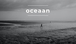 Eindeloze Oceaan - Aangepast Websiteontwerp