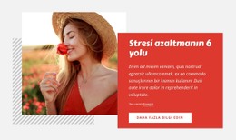 Stresi Azaltmanın 6 Yolu Temel CSS Şablonu
