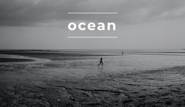 Endless Ocean - Custom Website Design