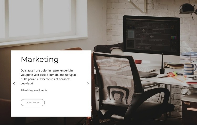 Toonaangevende adviesbureaus en management consulting Website mockup