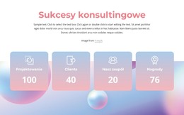 Sukcesy Konsultingowe - Szablon Jednej Strony
