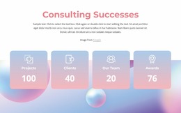 Consulting Successes - Customizable Professional Website Mockup