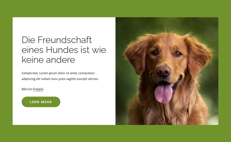 Hunde sind unglaubliche Freunde der Menschen HTML-Vorlage