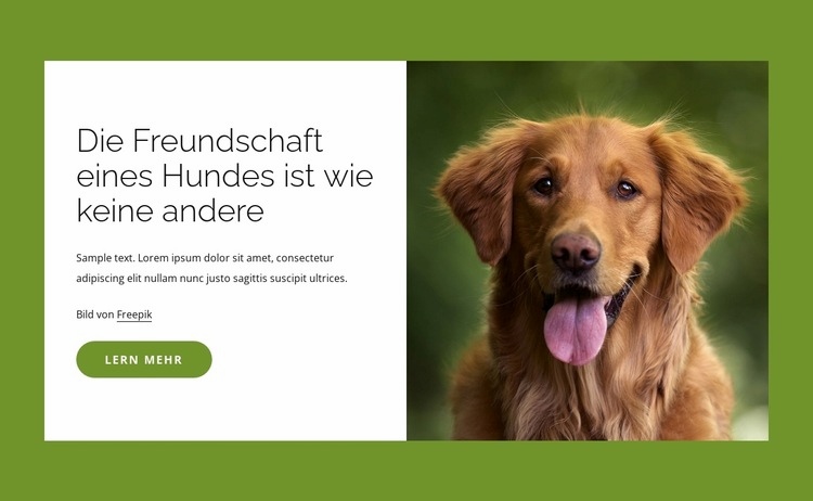 Hunde sind unglaubliche Freunde der Menschen HTML Website Builder