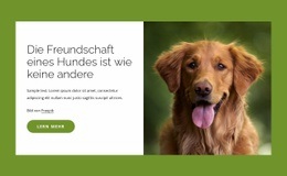 Website-Maker Für Hunde Sind Unglaubliche Freunde Der Menschen