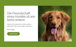 Website-Modell Für Hunde Sind Unglaubliche Freunde Der Menschen