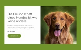 Hunde Sind Unglaubliche Freunde Der Menschen Letztes Jahr