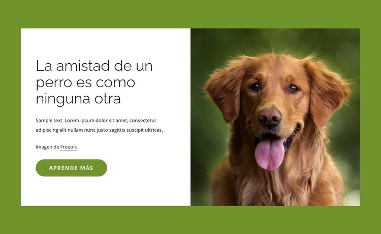 Los perros son amigos increíbles para las personas. Diseño de páginas web