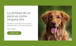 Los Perros Son Amigos Increíbles Para Las Personas. Plantilla Responsiva Html5