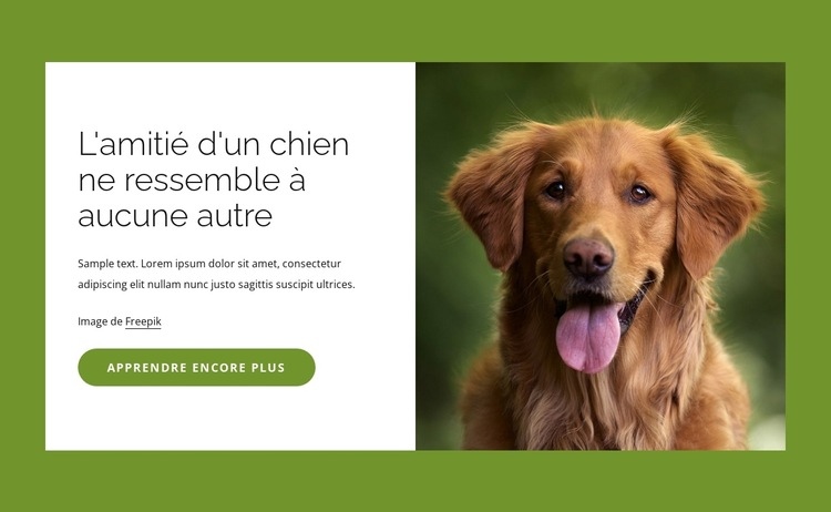 Les chiens sont des amis incroyables pour les gens Conception de site Web