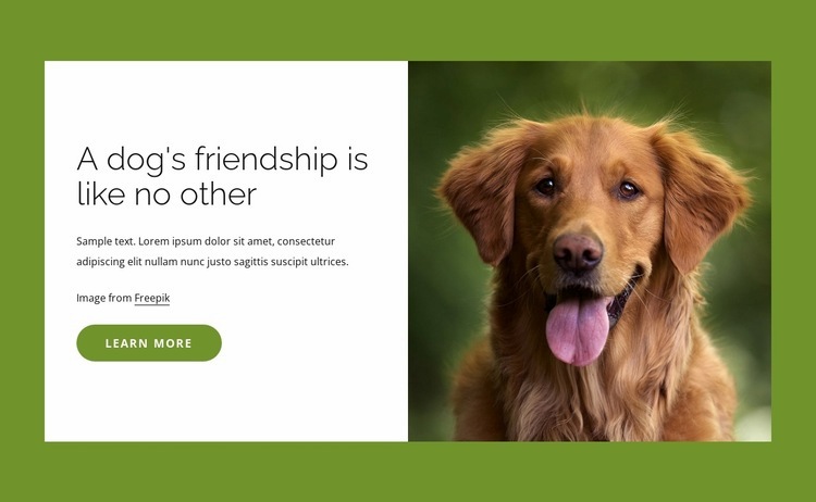 Dogs are incredible friends to people Homepage Design