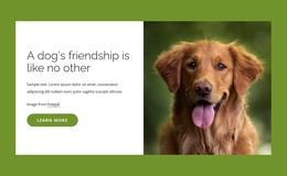 Free Download For Dogs Are Incredible Friends To People Html Template