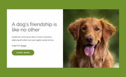 Dogs Are Incredible Friends To People - HTML Site Builder